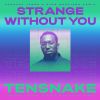 Download track Strange Without You