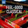 Download track Violin Concerto In D Major: I. Toccata