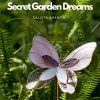 Download track Secret Garden Dreams