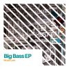 Download track Big Bass