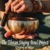 Download track Healing Bowls (Infinite Blissful Inner Peace)