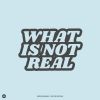 Download track What Is Not Real (Dub)