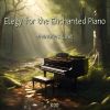 Download track Lost In The Enchanted Echoes