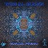 Download track Heart Lodge (Hentopan Tribal Bass Mix)