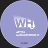 Download track Metamorphosis (Original Mix)