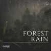 Download track Rain On Forest Floor