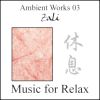 Download track Improvement Of Thinking Skill Introduction (Ambient Remix)