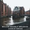 Download track Mellow Moonlit Melodies