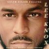 Download track Never Finish Falling