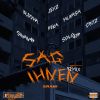 Download track Sag Ihnen (Remix)