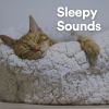 Download track Sleepy Times, Pt. 10