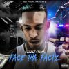 Download track Face Tha Facts