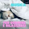 Download track EPISODIO D'AMORE