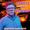 Download track Vaqueiro Doido (Cover)