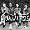 Download track Dança Da Jaguatirica