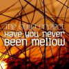 Download track Have You Never Been Mellow (Sunshine Mix)