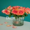 Download track Damn Love