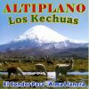 Download track El Pajaro Chogüi