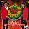 Download track Mix Duranguense # 1: Derrumbes / Y Nunca Comprendi / Cada Dia Mas