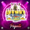 Download track Pegaito