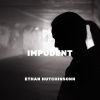 Download track Impudent