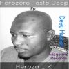 Download track Herbzero Taste Deep (Original Mix)