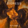 Download track Bigress