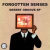 Download track Desert Groove