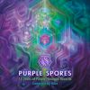 Download track Purple Riot (Original Mix)