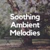 Download track Ambient Melodies For Sleeping, Pt. 13