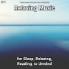 Download track Relaxing Music, Pt. 14