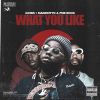 Download track What You Like