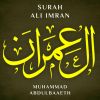 Download track Surah Ali Imran, Pt. 3