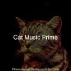 Download track Piano Jazz Soundtrack For Cats