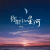 Download track 你眼中的星河 (伴奏)