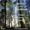 Download track 04 - Piano Concerto No. 5 In G, Op. 73 - I - Allegro