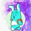 Download track Shape (Honey Bunny Remix)