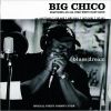 Download track I'm A Big Man