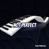 Download track Not Perfect