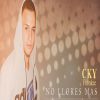 Download track No Llores Más