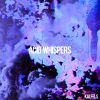 Download track Acid Whispers (Original Mix)