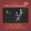 Download track Piano Trio No. 1 In D Minor, Op. 63: I. Mit Energie Und Leidenschaft