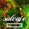 Download track Salvaje (LaNieve)