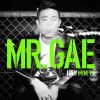 Download track MR. GAE (Inst.)