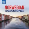 Download track Violin Sonata No. 2 In G Major, Op. 13: III. Allegro Animato (Arr. H. Kraggerud & B. S. Lund)