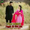 Download track Tune Mujhko Pagal Hi Kar Dia