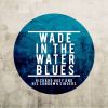 Download track Wade In The Water