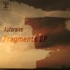 Download track My Fragmented Self