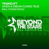 Download track When A Dream Comes True (Paul Steiner Remix)