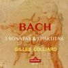 Download track Violin Partita No. 1 In B Minor, BWV 1002: VII. Tempo Di Bourrée (Remastered 2024)